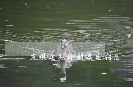 省呗逾期给朋友发信息 省呗逾期给朋友发信息