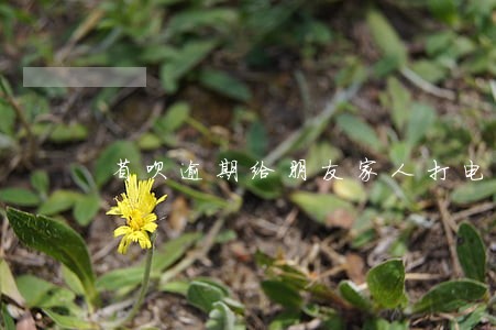 省呗逾期给朋友家人打电话 省呗逾期给朋友家人打电话