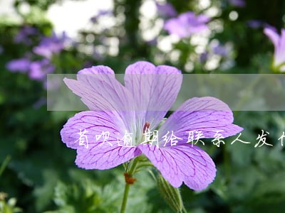 省呗逾期给联系人发信息 省呗逾期给联系人发信息
