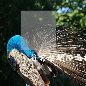 省呗逾期给通讯录发信息 省呗逾期给通讯录发信息