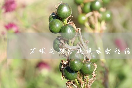 省呗逾期给通讯录发短信 省呗逾期给通讯录发短信