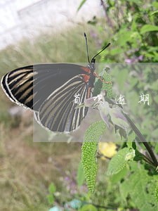省呗逾期联系通讯录好友 省呗逾期联系通讯录好友