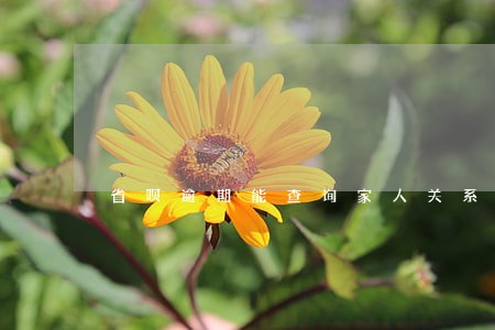 省呗逾期能查询家人关系 省呗逾期能查询家人关系
