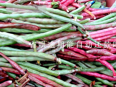 省呗逾期能自动还款吗 省呗逾期能自动还款吗