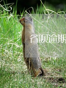 省呗逾期要取消分期是真的吗 省呗逾期要取消分期是真的吗