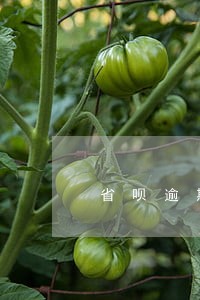 省呗逾期要让还全款怎么办 省呗逾期要让还全款怎么办