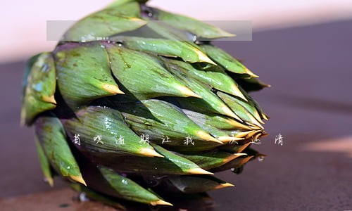 省呗逾期让我一次还清 省呗逾期让我一次还清