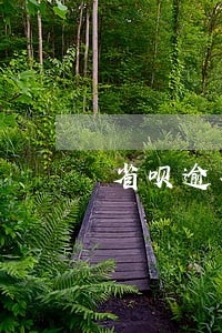 省呗逾期说寄应诉通知书 省呗逾期说寄应诉通知书