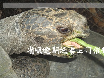 省呗逾期说要上门催收 省呗逾期说要上门催收