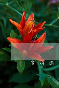 省呗逾期说要联系学校 省呗逾期说要联系学校