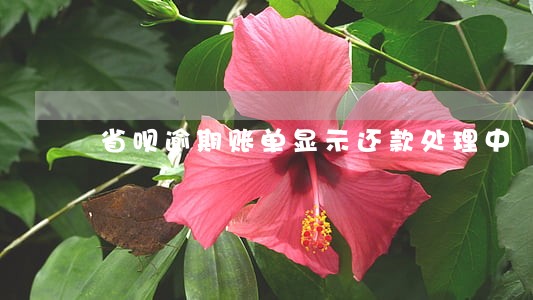 省呗逾期账单显示还款处理中 省呗逾期账单显示还款处理中