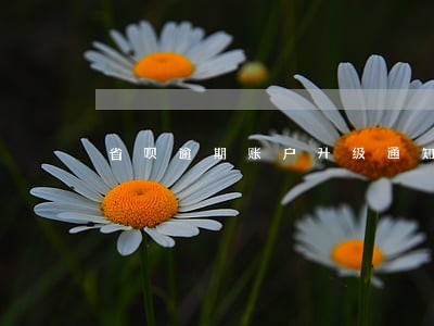 省呗逾期账户升级通知是什么 省呗逾期账户升级通知是什么