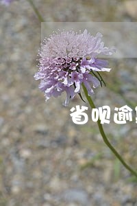 省呗逾期跟朋友打电话 省呗逾期跟朋友打电话