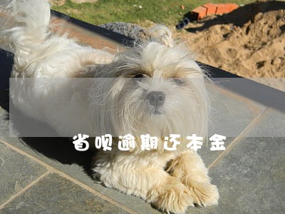 省呗逾期还本金 省呗逾期还本金
