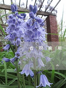 省呗逾期还款后有额度么