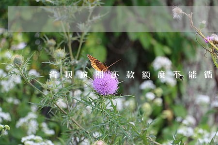 省呗逾期还款额度不能循环用了吗 省呗逾期还款额度不能循环用了吗