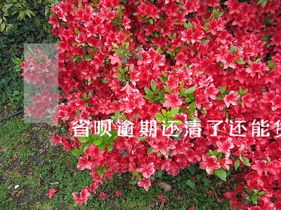 省呗逾期还清了还能贷款吗 省呗逾期还清了还能贷款吗