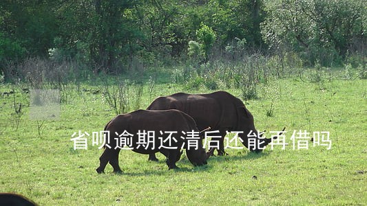 省呗逾期还清后还能再借吗