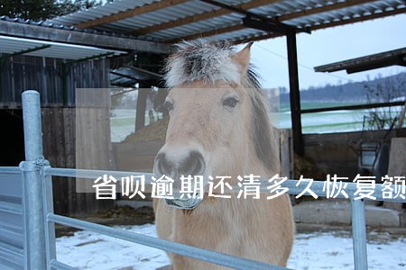省呗逾期还清多久恢复额度 省呗逾期还清多久恢复额度