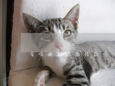 省呗逾期还能借款吗 省呗逾期还能借款吗