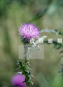 省呗逾期通讯录被爆 省呗逾期通讯录被爆