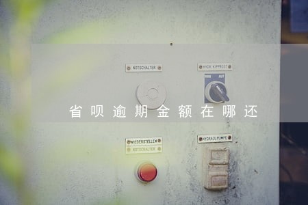 省呗逾期金额在哪还 省呗逾期金额在哪还