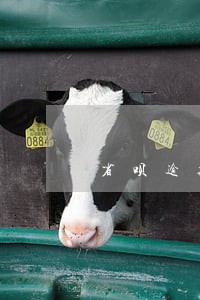 省呗逾期骚扰通讯录怎样报警 省呗逾期骚扰通讯录怎样报警