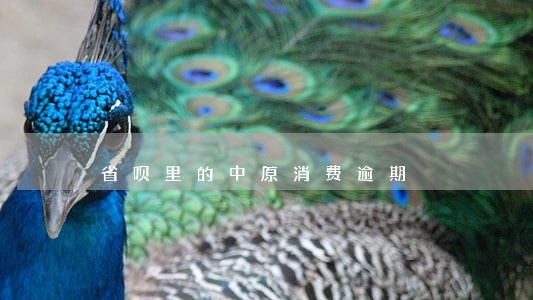 省呗里的中原消费逾期