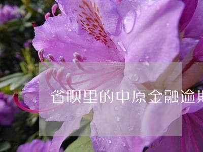 省呗里的中原金融逾期 省呗里的中原金融逾期