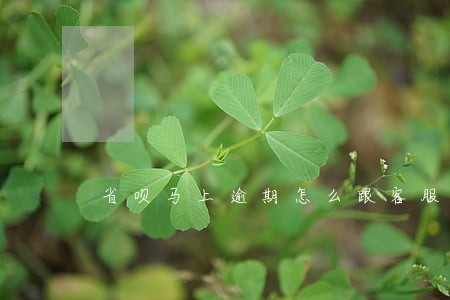 省呗马上逾期怎么跟客服协商 省呗马上逾期怎么跟客服协商