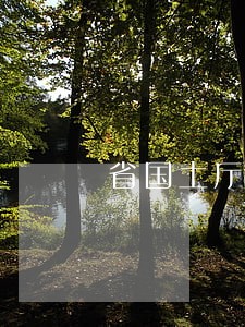 省国土厅严查6家违法违规煤矿 省国土厅严查6家违法违规煤矿