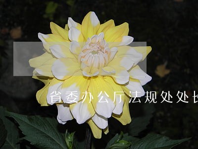 省委办公厅法规处处长白宗正
