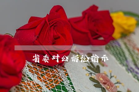 省委对公诉讼指示