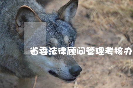 省委法律顾问管理考核办法 省委法律顾问管理考核办法