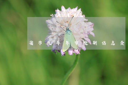 省市汽车年审逾期信息查询 省市汽车年审逾期信息查询