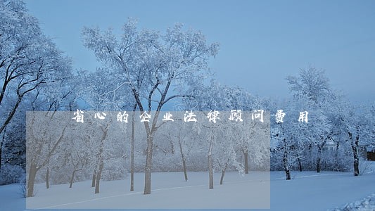 省心的企业法律顾问费用 省心的企业法律顾问费用