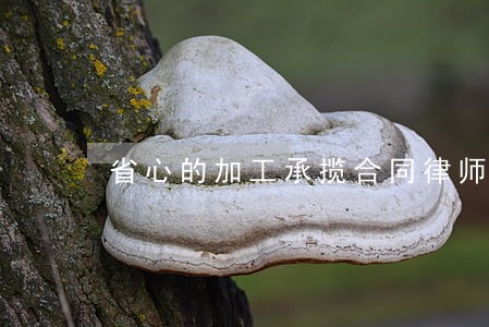 省心的加工承揽合同律师 省心的加工承揽合同律师