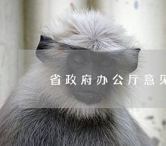 省政府办公厅意见属法规 省政府办公厅意见属法规