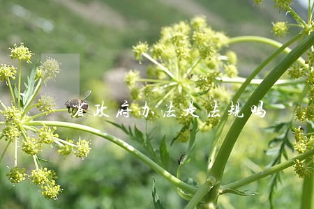 省政府办法是法规吗 省政府办法是法规吗