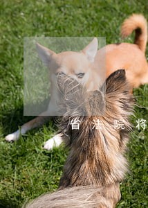 省法院将推进巡回法庭进社区 省法院将推进巡回法庭进社区