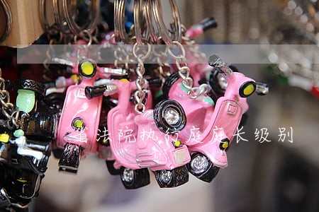 省法院执行庭庭长级别 省法院执行庭庭长级别