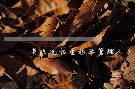 省法院招生档案管理人员工作 省法院招生档案管理人员工作