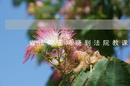 省法院王鸿晓到法院教课 省法院王鸿晓到法院教课
