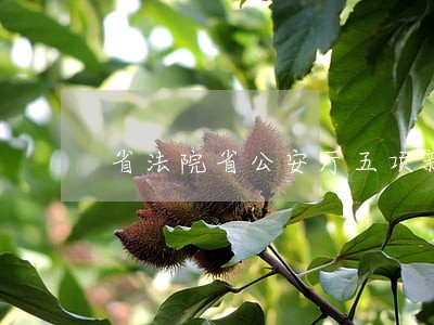 省法院省公安厅五项新机制 省法院省公安厅五项新机制