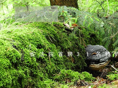 省法院首聘31名特约监督员上岗 省法院首聘31名特约监督员上岗