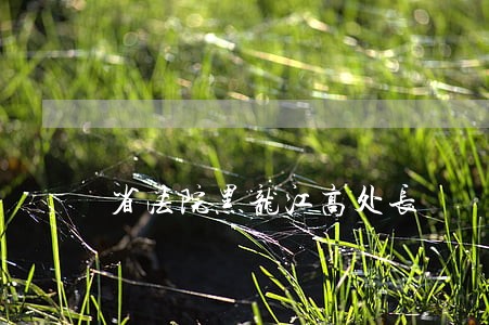 省法院黑龙江高处长 省法院黑龙江高处长