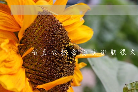 省直公积金贷款逾期很久 省直公积金贷款逾期很久