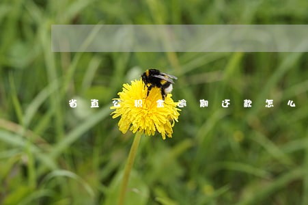 省直公积金逾期还款怎么办