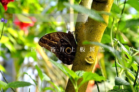 省直省厅上板城监狱职位f 省直省厅上板城监狱职位f