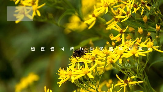 省直省司法厅保定监狱职位a 省直省司法厅保定监狱职位a